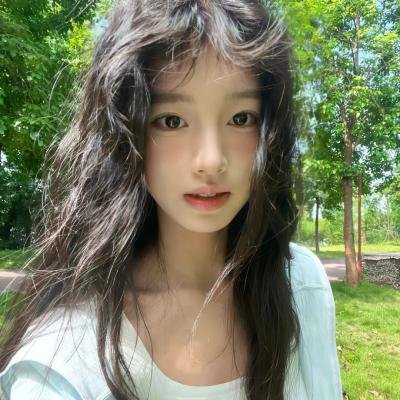 科搜研之女第24季